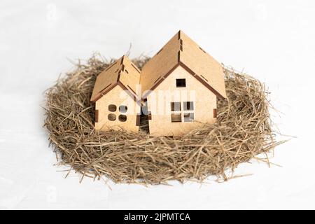 Deux modèles de maison fraîchement construits placés dans un nid d'oiseau isolé sur blanc. Concept de famille. Banque D'Images