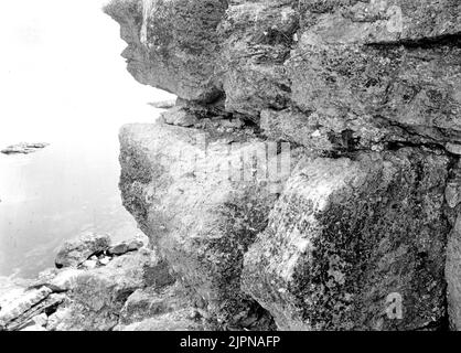 Résidence pour les porcs de hareng (Uria troile). Quelques œufs visibles sur la partie extérieure de la corniche. Boplats för sillgrislor (Uria troile). Några ägg synliga på avsatsens yttre del. Banque D'Images