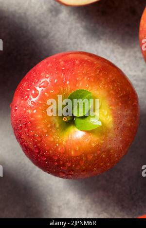 Pommes croustillantes comicrophones Red Organic crues dans un bouquet Banque D'Images