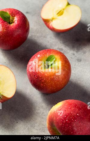 Pommes croustillantes comicrophones Red Organic crues dans un bouquet Banque D'Images