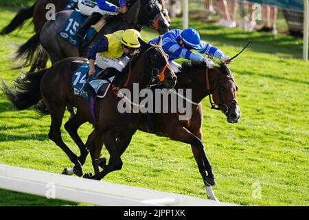 Le point Lynas, monté par Ray Dawson (avant gauche), remporte le Sky Bet Mile handicap pendant la troisième journée du festival Ebor à l'hippodrome de York. Date de la photo: Vendredi 19 août 2022. Banque D'Images