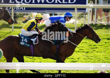 Le point Lynas, monté par Ray Dawson (avant gauche), remporte le Sky Bet Mile handicap pendant la troisième journée du festival Ebor à l'hippodrome de York. Date de la photo: Vendredi 19 août 2022. Banque D'Images