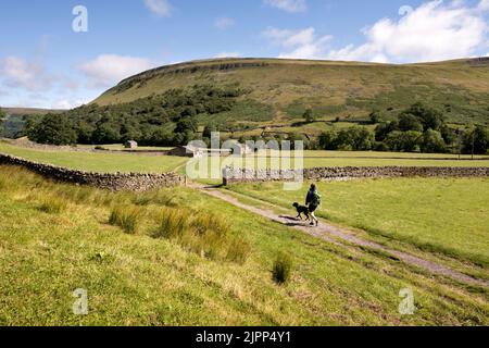 Un marcheur de chiens traverse les prairies de foin sur un sentier public, Muker, Yorkshire Dales National Park, Royaume-Uni Banque D'Images