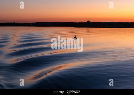 Des vagues de proue au coucher du soleil, Poole Harbour, en été Banque D'Images