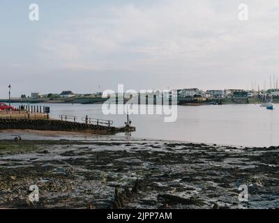 Le paysage côtier plat de boue d'été de la rivière Deben à Bawdsey Suffolk, dans l'est de l'Angleterre du Royaume-Uni avec un petit ferry pour passagers à Felixstowe Banque D'Images