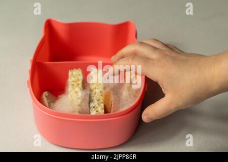 Une main d'enfant atteint pour un panier repas avec des tranches de pain et des saucisses sur lesquelles la moisissure blanche. Mauvaise nourriture gâtée dans la moisissure. Banque D'Images