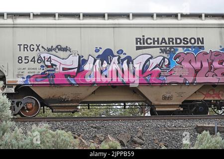 Graffiti peint sur le côté d'une voiture de chemin de fer dans le centre de l'Oregon. Banque D'Images