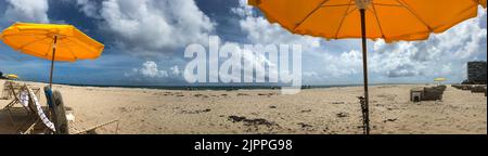 Le panorama présente des parasols de plage jaunes, du ciel bleu de cobalt et une plage de sable le long de la côte de fort Lauderdale. Banque D'Images
