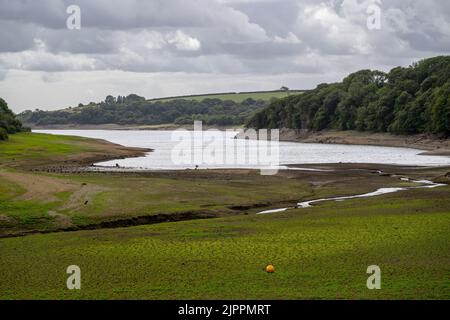 Sécheresse déclarée dans certaines parties du centre et du sud du pays de Galles alors que l'interdiction de l'hospe de Pembrokeshire entre en vigueur.le réservoir de Llys y Fran est illustré. Banque D'Images