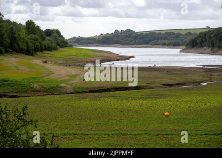 Sécheresse déclarée dans certaines parties du centre et du sud du pays de Galles alors que l'interdiction de l'hospe de Pembrokeshire entre en vigueur.le réservoir de Llys y Fran est illustré. Banque D'Images