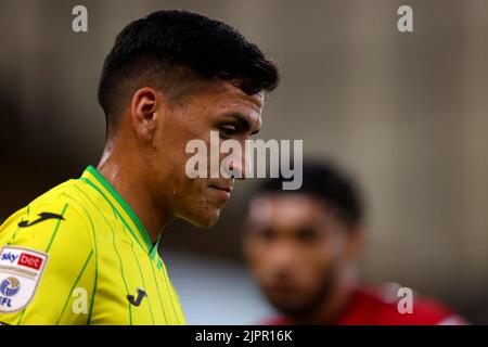 Carrow Road, Norwich, Norfolk, Royaume-Uni. 19th août 2022. EFL Championship League football, Norwich versus Millwall; Marcelino Nunez de Norwich City Credit: Action plus Sports/Alamy Live News Banque D'Images