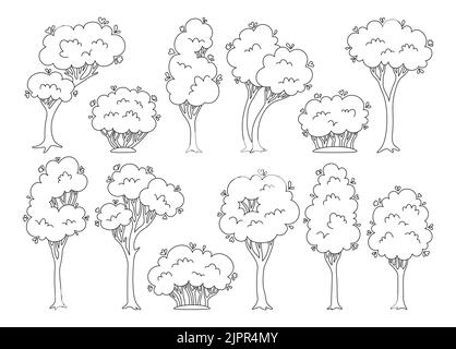 Ensemble de dessins animés arbres et arbustes. Collection botanique de plantes stylisées à feuilles persistantes linéaires abstraites, buisson écologique de la nature. Arbre à feuilles caduques avec des feuilles et des couronnes luxuriantes. Parc vert, vecteur de paysage forestier Illustration de Vecteur