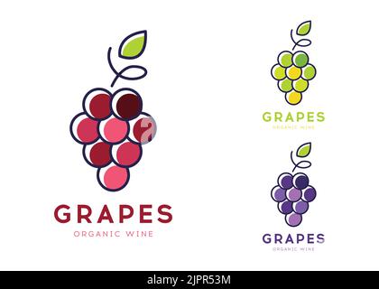 Icône représentant une ligne plate vectorisée du logo du vin. Symbole de vecteur de raisin isolé sur blanc dans différentes couleurs. Modèle de conception d'identité de marque de vin biologique. Vecteur Illustration de Vecteur