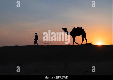 Silhouette d'un jeune caméléer qui conduit un chameau dans des dunes de sable. Coucher de soleil avec ciel bleu en arrière-plan. Banque D'Images