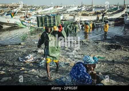 Arrivée des pêcheurs avec la prise de la journée dans le port, les grands chalutiers des usines de farine de poisson vident la mer au large de la côte, le Banque D'Images