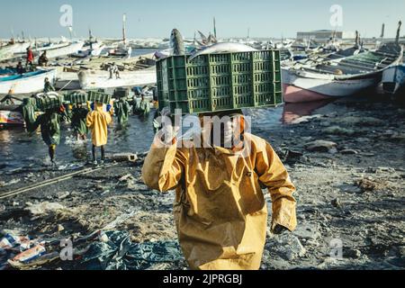 Arrivée des pêcheurs avec la prise de la journée dans le port, les grands chalutiers des usines de farine de poisson vident la mer au large de la côte, le Banque D'Images