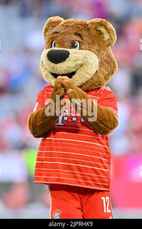 Mascotte Berni FC Bayern Munich FCB, dans le nouveau kit gestes, Allianz Arena, Munich, Bavière, Allemagne Banque D'Images