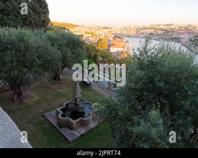 Vue sur Porto depuis les jardins du Crystal Palace (Jardins do Palácio de Cristal) Portugal. Un olivier et de l'eau se trouvent dans le jardin au premier plan. Banque D'Images