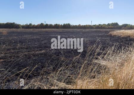 Un incendie d'herbe a éclaté sur Lambs Lane South à Rainham, Londres. Dix pompiers et environ 70 pompiers ont attaqué l'incendie. Une vaste zone d'herbe a Banque D'Images