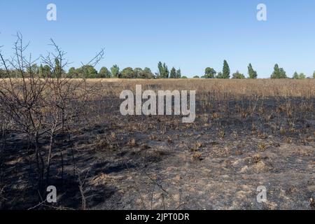 Un incendie d'herbe a éclaté sur Lambs Lane South à Rainham, Londres. Dix pompiers et environ 70 pompiers ont attaqué l'incendie. Une vaste zone d'herbe a Banque D'Images