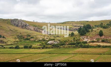 Paysage typique de Madagascar - rizières en terrasse vertes et jaunes sur de petites collines dans la région près de Farariana Banque D'Images