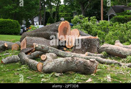 Une grande pile de grands troncs d'arbres reposant l'un sur l'autre après qu'un arbre a été coupé sur la pelouse avant d'une propriété résidentielle. Banque D'Images