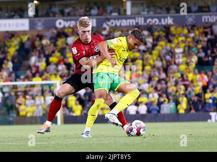 Norwich, Royaume-Uni. 19th août 2022. Zian Flemming de Millwall met Max Aarons de la ville de Norwich sous pression pendant le match de championnat de pari de ciel entre la ville de Norwich et Millwall à Carrow Road sur 19 août 2022 à Norwich, en Angleterre. (Photo par Mick Kearns/phcimages.com) crédit: Images de la SSP/Alamy Live News Banque D'Images