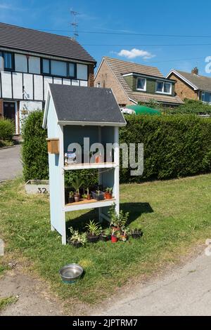 Stand de spectacle maison proposant des œufs et de jeunes plantes en pot à vendre. Banque D'Images