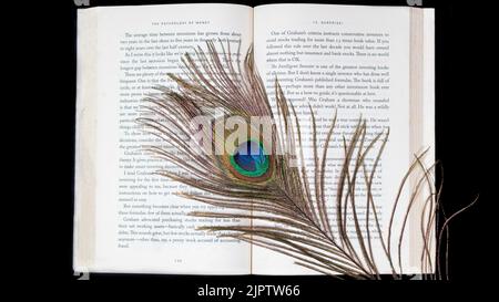 Plumes de paon avec livre photo sur fond noir Banque D'Images