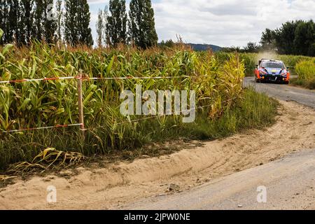 11 NEUVILLE Thierry (bel), WYDAEGHE Martijn (bel), Hyundai Shell MOBIS World Rally Team, Hyundai i20 N Rally 1, action au Ypres Rally Belgium 2022, 9th round du Championnat du monde de voitures de rallye WRC 2022, de 18 août au 21, 2022 à Ypres, Belgium - photo Nikos Katikis / DPPI Banque D'Images