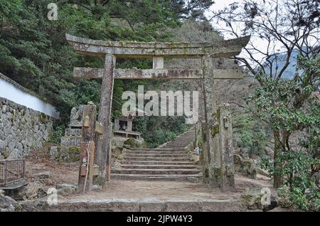 Vieille porte en pierre de torii sur un chemin d'escalier dans le parc forestier sur le mont Misen à Miyajima, Hiroshima, Japon Banque D'Images