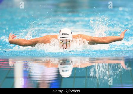Sydney, Australie. 20th août 2022. Shaun Champion of Australia Swimming Team participe à la compétition masculine de 100 mètres LC Butterfly lors du duel 2022 dans la piscine qui s'est tenue au centre aquatique du parc olympique de Sydney. Shaun Champion s'est classé troisième dans cet événement. Crédit : SOPA Images Limited/Alamy Live News Banque D'Images