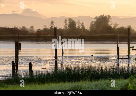 Lever de soleil tôt le matin au-dessus du Snohomish avec cour de bois d'œuvre de l'autre côté de la rivière et mt Baker en arrière-plan Banque D'Images