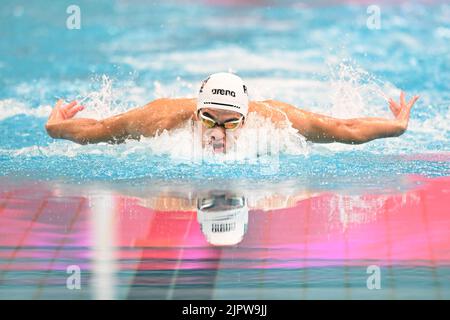 Sydney, Australie. 20th août 2022. Shaun Champion of Australia Swimming Team participe à la compétition masculine de 100 mètres LC Butterfly lors du duel 2022 dans la piscine qui s'est tenue au centre aquatique du parc olympique de Sydney. Shaun Champion s'est classé troisième dans cet événement. (Photo par Luis Veniegra/SOPA Images/Sipa USA) crédit: SIPA USA/Alay Live News Banque D'Images