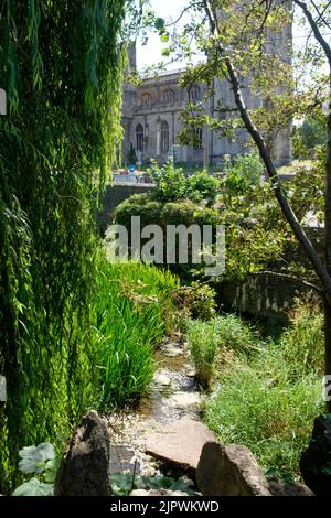 Autour de Bruton, une petite ville populaire de Somerset, au Royaume-Uni. Sainte Marie l'église vierge vue à travers les arbres. Banque D'Images