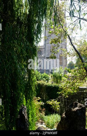 Autour de Bruton, une petite ville populaire de Somerset, au Royaume-Uni. Sainte Marie l'église vierge vue à travers les arbres. Banque D'Images
