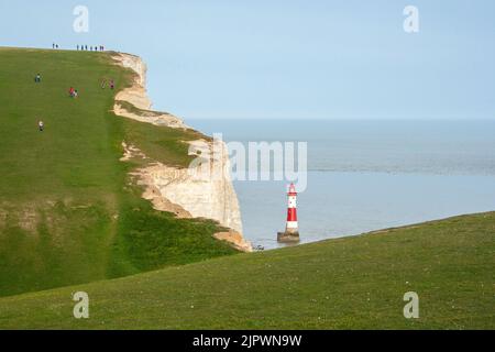 Le phare de Beachy Head et les falaises blanches près d'Eastbourne lors d'une journée ensoleillée en mai, East Sussex, Angleterre, Royaume-Uni Banque D'Images