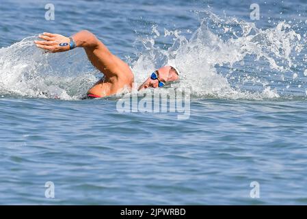 Rome, Italie. 20th août 2022. PALTRINIERI Gregorio ITA ITALY5km hommes Open Water Roma, 20/8/2022 Lido di Ostia XXVI LEN Championnat d'Europe Roma 2022 photo Andrea Staccioli / Deepbluemedia / Insidefoto Banque D'Images