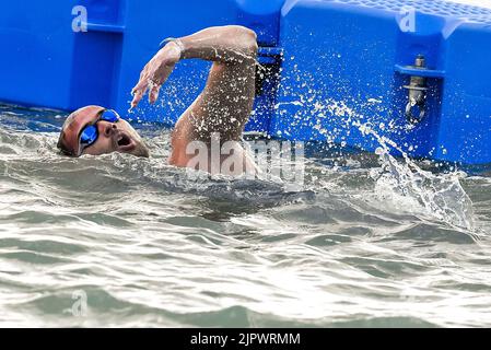 Rome, Italie. 20th août 2022. Roma, Italie. 20th août 2022. ACERENZA Domenico ITA ITALY5km hommes Open Water Roma, 20/8/2022 Lido di Ostia XXVI LEN European Championships Roma 2022 photo Andrea Staccioli/Deepbluemedia/Insidefoto crédit: Insidefoto di andrea staccioli/Alay Live News Banque D'Images