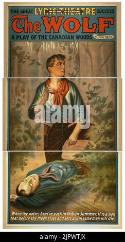 Le loup de l'aplay woods par Eugene Walter. Banque D'Images