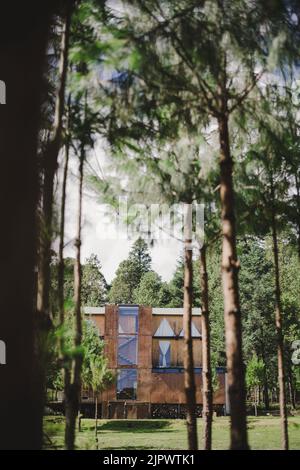 Une photo verticale d'une maison moderne en bois au milieu de la forêt tropicale par une journée ensoleillée Banque D'Images