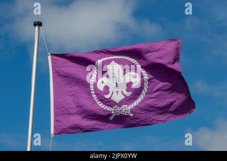 drapeau du mouvement scout ou scouts et petits garçons, bannière ou scouts, emblème des scouts garçons sur un drapeau violet, drapeau du mouvement scout. Banque D'Images