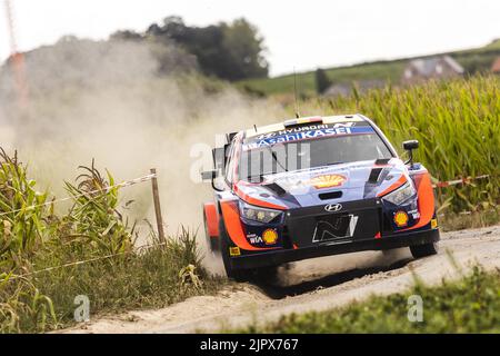 11 NEUVILLE Thierry (bel), WYDAEGHE Martijn (bel), Hyundai Shell MOBIS World Rally Team, Hyundai i20 N Rally 1, action au Ypres Rally Belgium 2022, 9th round du Championnat du monde de voitures de rallye WRC 2022, de 18 août au 21, 2022 à Ypres, Belgium - photo: Nikos Katikis/DPPI/LiveMedia Banque D'Images