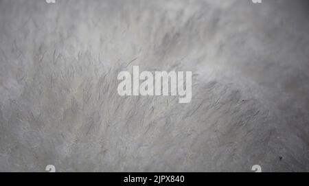 Texture de fausse fourrure douce blanche gros plan Banque D'Images