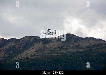 Marines des États-Unis avec le Marine Medium Tiltrotor Squadron 161, Marine Aircraft Group 16, 3rd Marine Aircraft Wing, décollage de la base interarmées Elmendorf-Richardson, Alaska, 16 août 2022. Le MV-22B Osprey a remplacé l'hélicoptère à levage moyen CH-46 Sea Knight, fournissant un avion à levage moyen plus rapide et plus maniable, améliorant la capacité et la capacité de la Force opérationnelle Marine Air-sol dans un environnement opérationnel en constante évolution. (É.-U. Photo du corps marin par lance Cpl. Daniel Childs) Banque D'Images