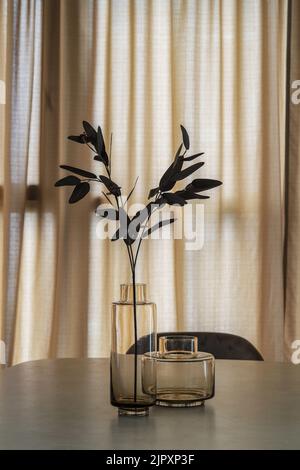 Vases en verre pour la décoration d'intérieur avec plantes sur la table dans un intérieur moderne Banque D'Images