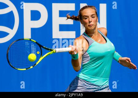 20/08/2022 - VANCOUVER (C.-B.) - AOÛT 20: Demi-finales: Lucia Bronzetti d'Italie (vert) def Rebecca Peterson de Suède (rose) pendant le huitième jour de 2022 Odlum Brown VanOpen au Hollyburn Country Club on 20 août 2022, à West Vancouver (Colombie-Britannique), Canada.(photo de Clélio Tomaz/Pximages Banque D'Images