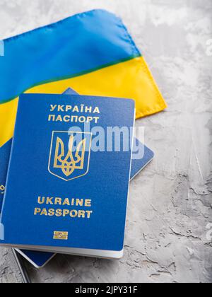 Deux passeports biométriques des citoyens ukrainiens sur fond gris clair. Gros plan. Guerre en Ukraine, réfugiés, tourisme, voyages. Il n'y a personne dans Banque D'Images