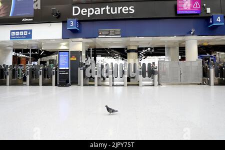 (220821) -- LONDRES, le 21 août 2022 (Xinhua) -- Un pigeon roule dans une station de Waterloo vacante à Londres, en Grande-Bretagne, le 20 août 2022. Cet été, alors que de nombreux Britanniques optaient pour une escapade et que les centres de transport à travers le Royaume-Uni étaient déjà sous pression, une autre série de grèves a jeté les transports publics dans le chaos cette semaine. Plus de 50 000 travailleurs des réseaux de chemin de fer, de métro et d'autobus ont été en grève sur les salaires et les conditions de travail de jeudi jusqu'au week-end. Il est conseillé aux passagers de voyager uniquement en train si nécessaire. POUR ALLER AVEC « fonction : les plans de déplacement sont interrompus en U. Banque D'Images