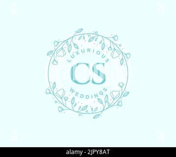 LETTRE initiales DE CS modèle de logos de monogramme de mariage, dessin à la main moderne minimaliste et modèles floraux pour cartes d'invitation, Enregistrer la date, élégant Illustration de Vecteur